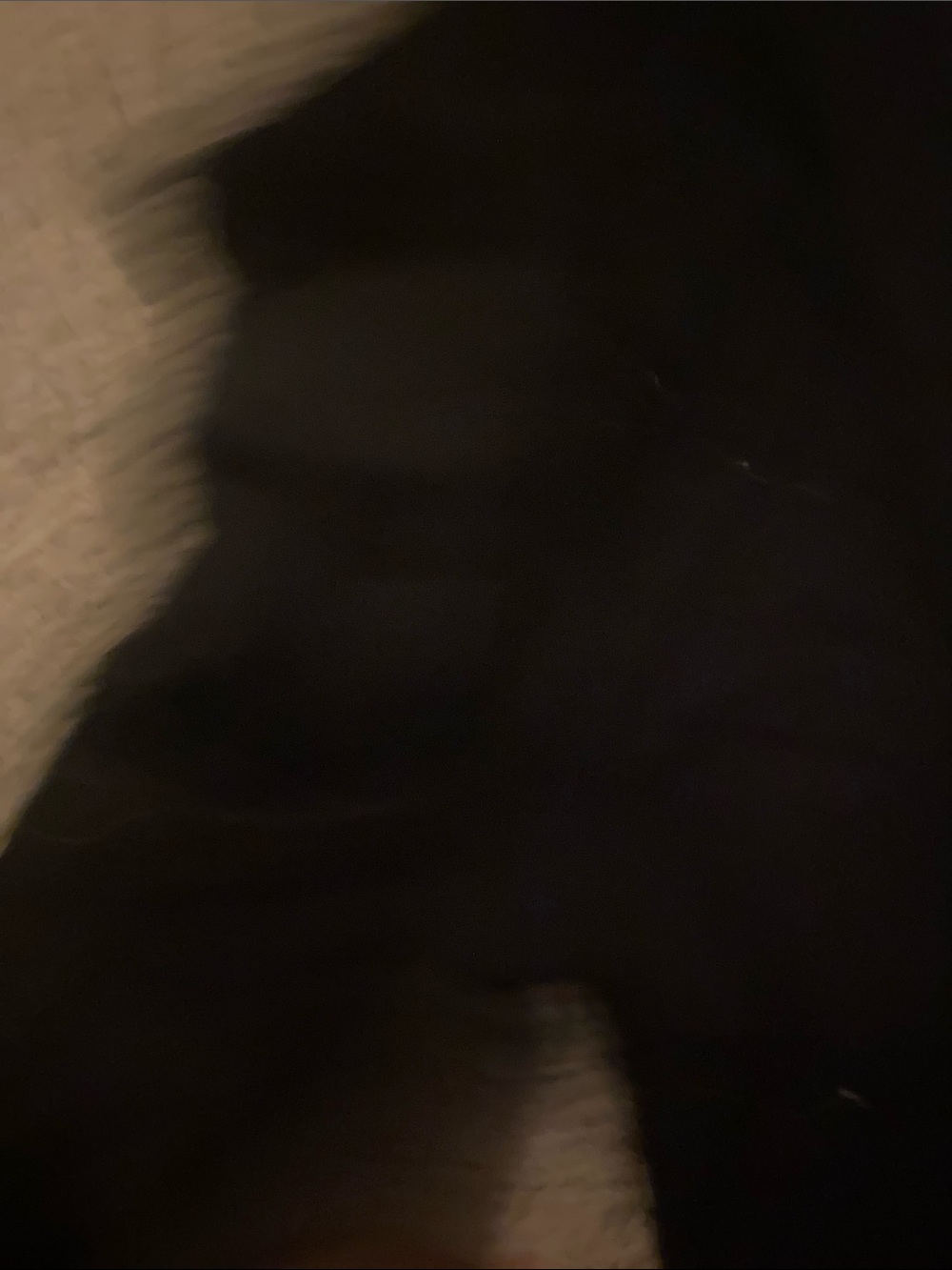 Kyodan Black Leggings - Picture 4 of 6